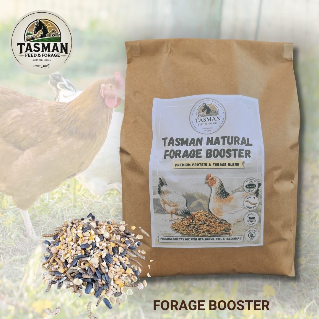 Tasman Natural Forage Booster 5kg