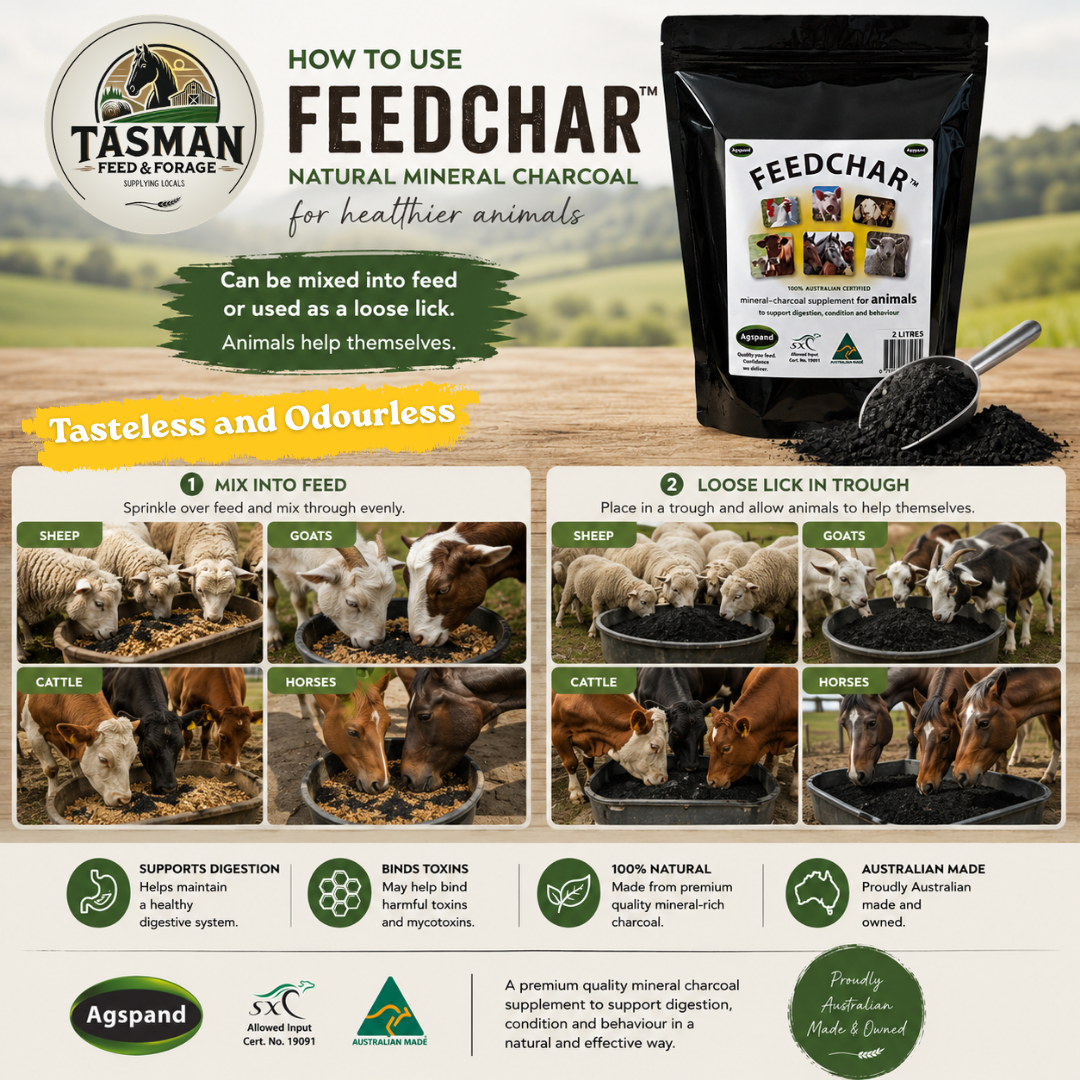 How to feed Feedchar