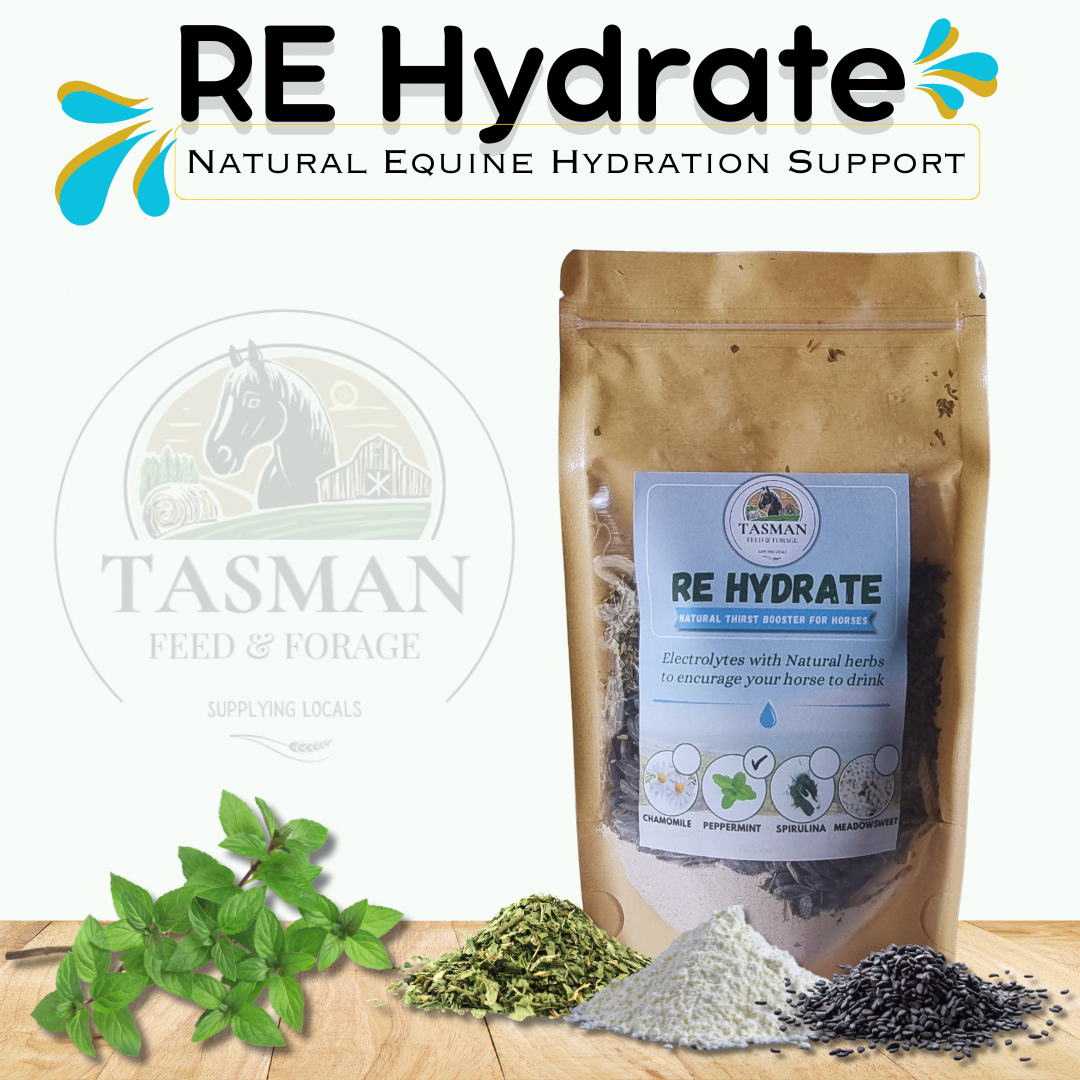 RE Hydrate Peppermint.png