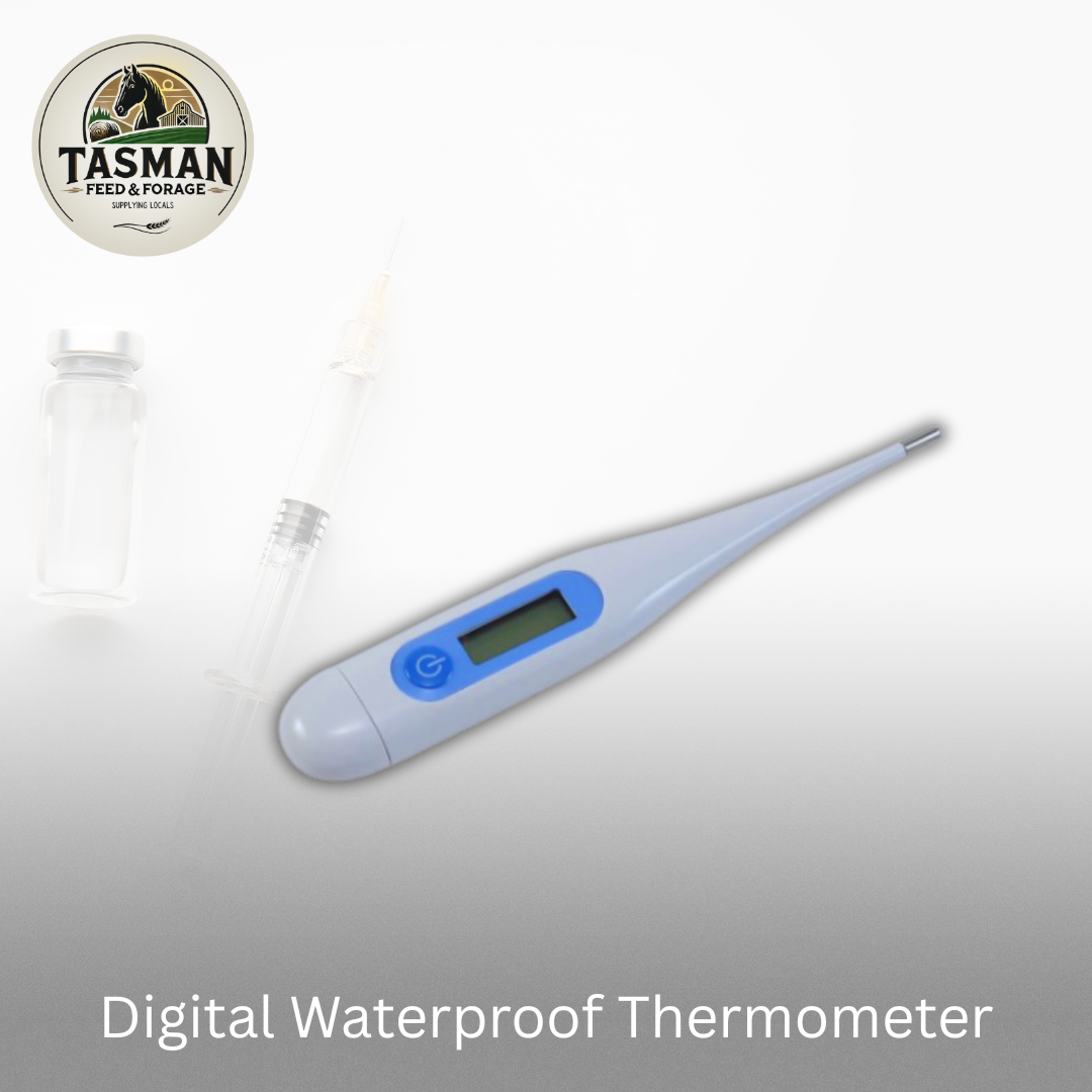 Digital Waterproof Thermometer