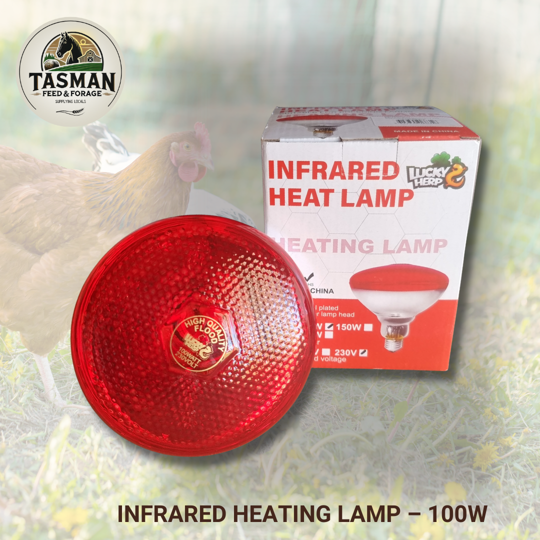 Infrared Heavy Duty Heating Lamp – 100W (1).png