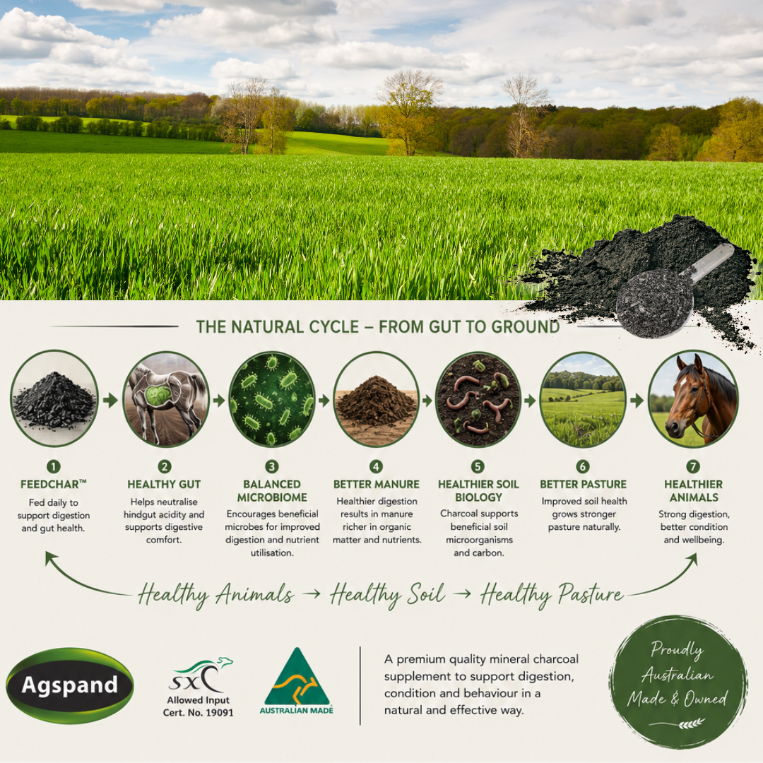 Agspand Feedchar for all livestock and pets