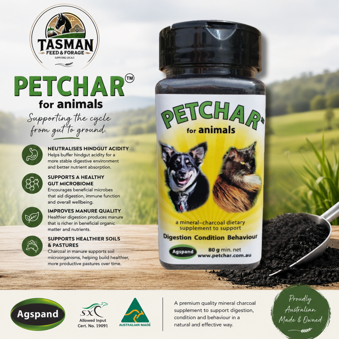 Petchar® – Natural Mineral Charcoal Meal Topper for Pets