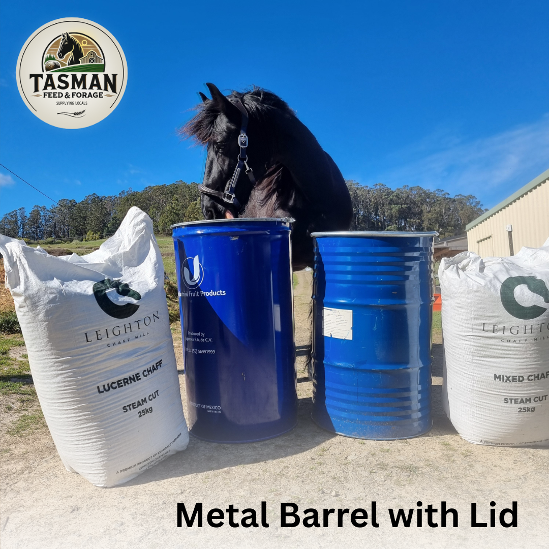 Metal Barrel with lid
