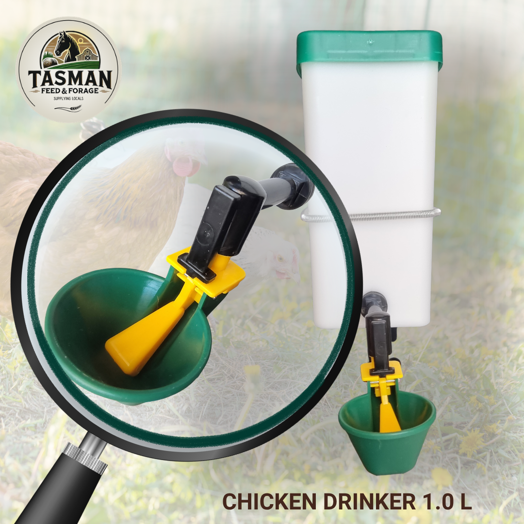 Chicken Drinker 1.0l closeup