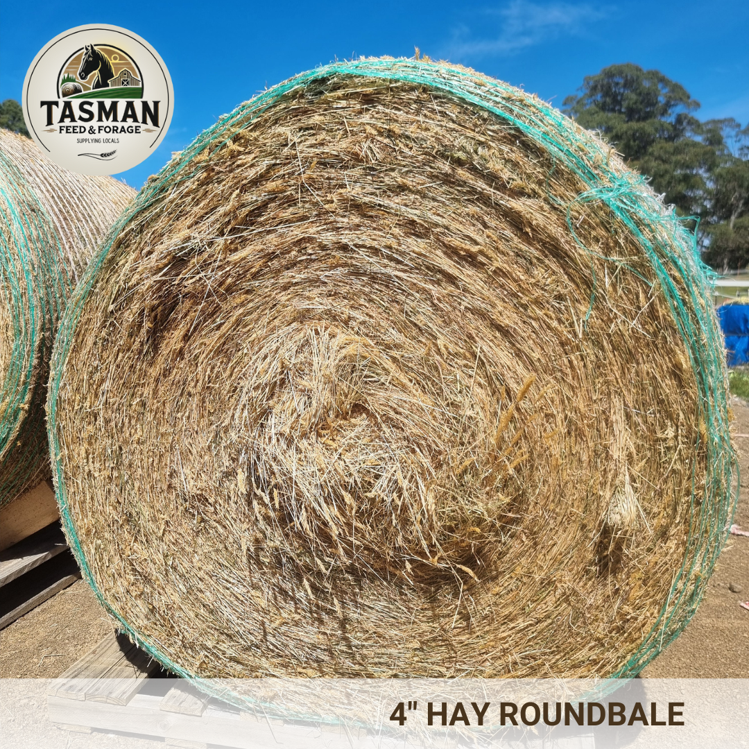 4-Foot Round Bale of Pristine Hay