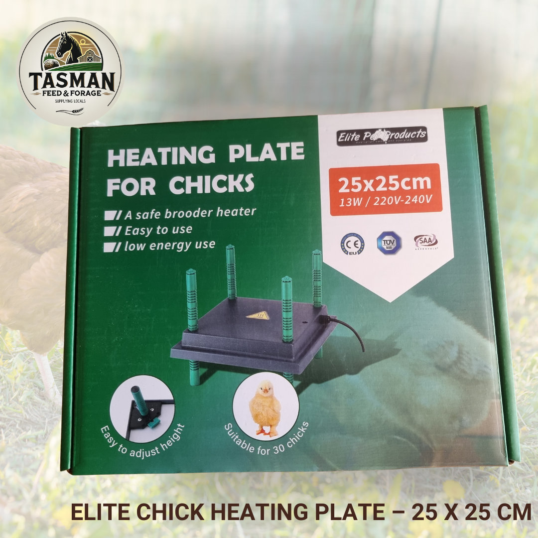 Elite Chick Heating Plate – 25 x 25 cm
