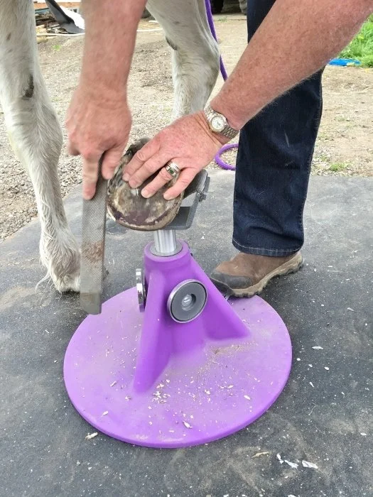 HoofJack hoof stand, most durable hoofstand in the world, used by farriers and horse owners