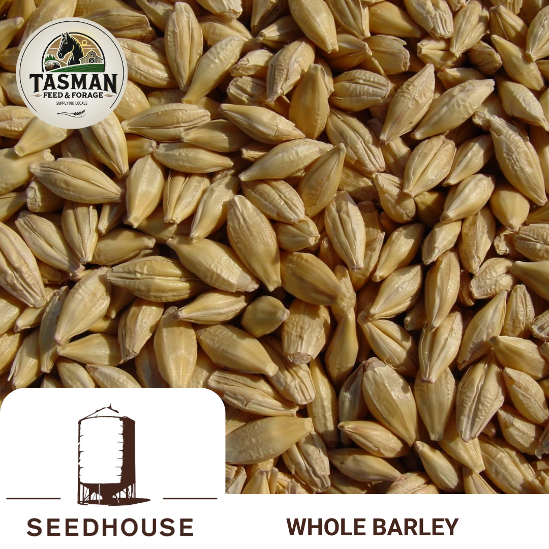 Seedhouse Cracked/Rolled Barley — Tasman Feed & ForageTasman Feed and ...