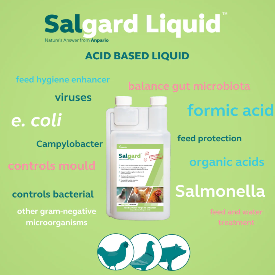 Salgard Liquid – 1 L