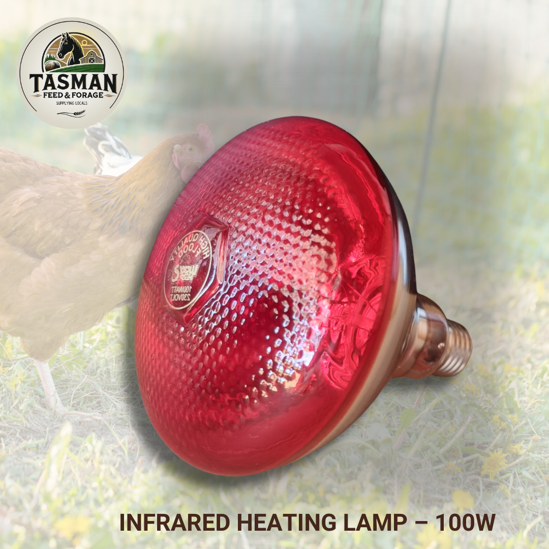 Lucky Herp Infrared Heavy Duty Heating Lamp – 100W
