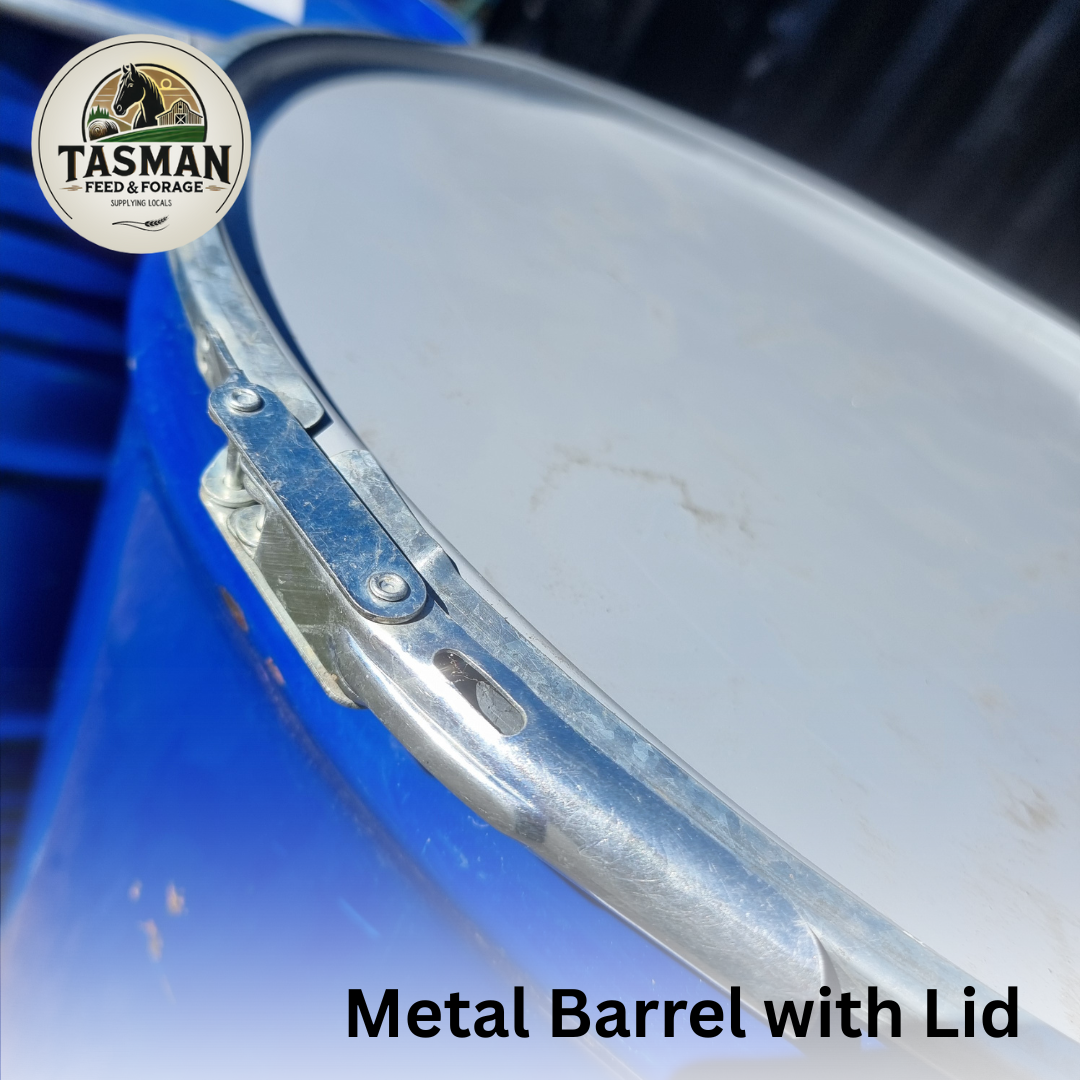 Metal Barrel with lid