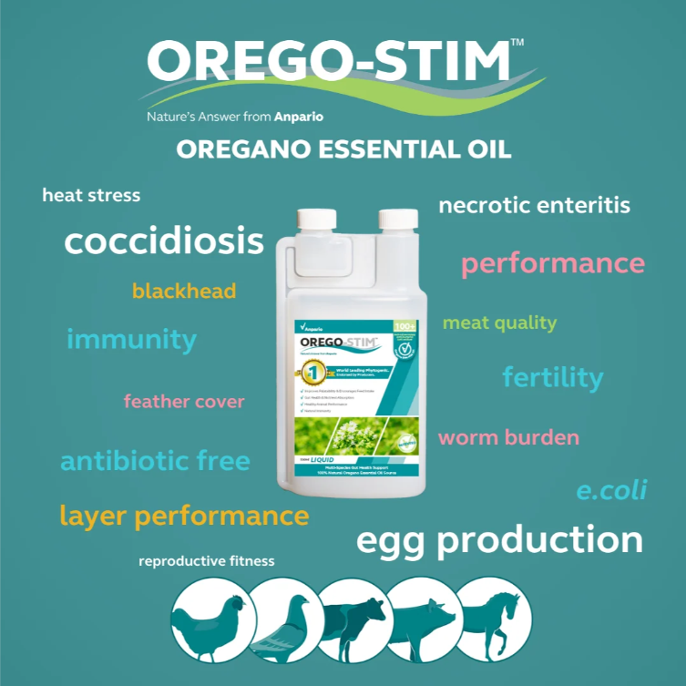 Orego-Stim Liquid – 1 L