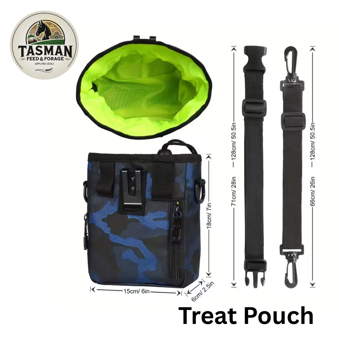 Treat Pouch