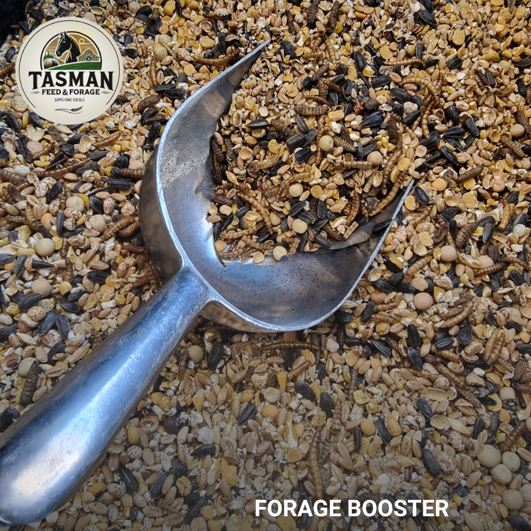 Tasman Natural Forage Booster content