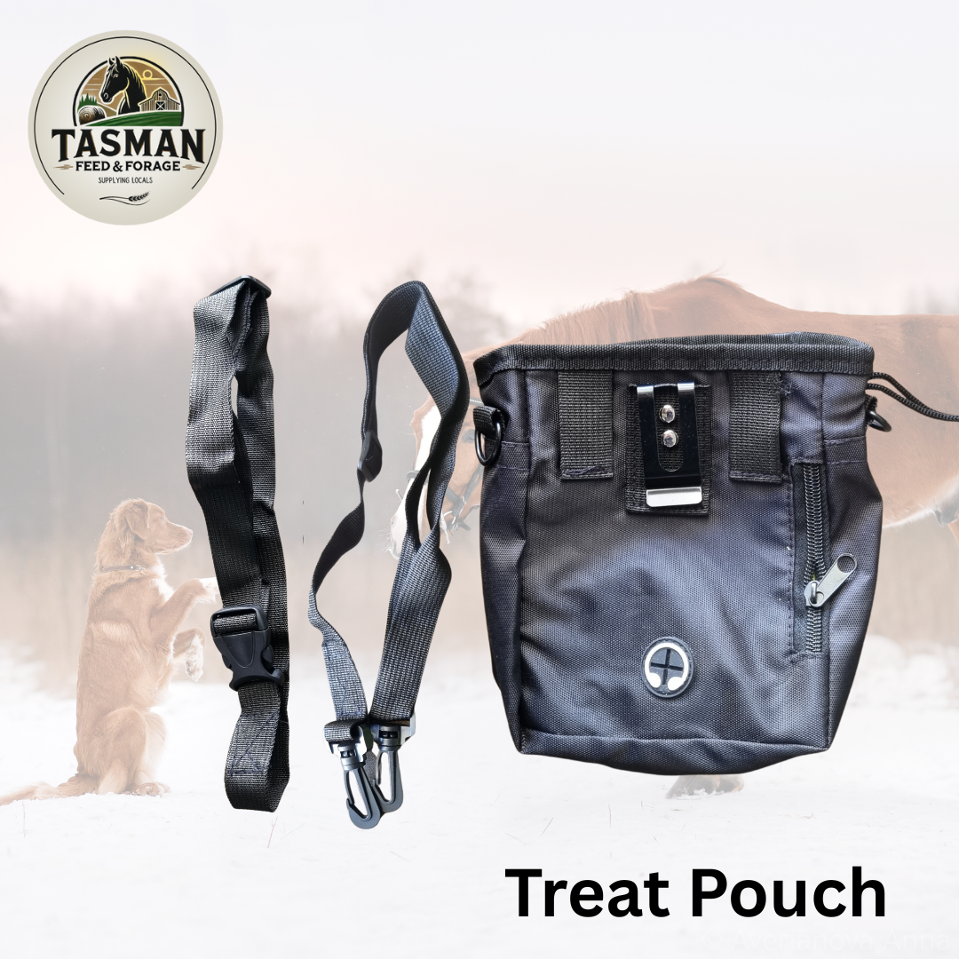 Treat Pouch