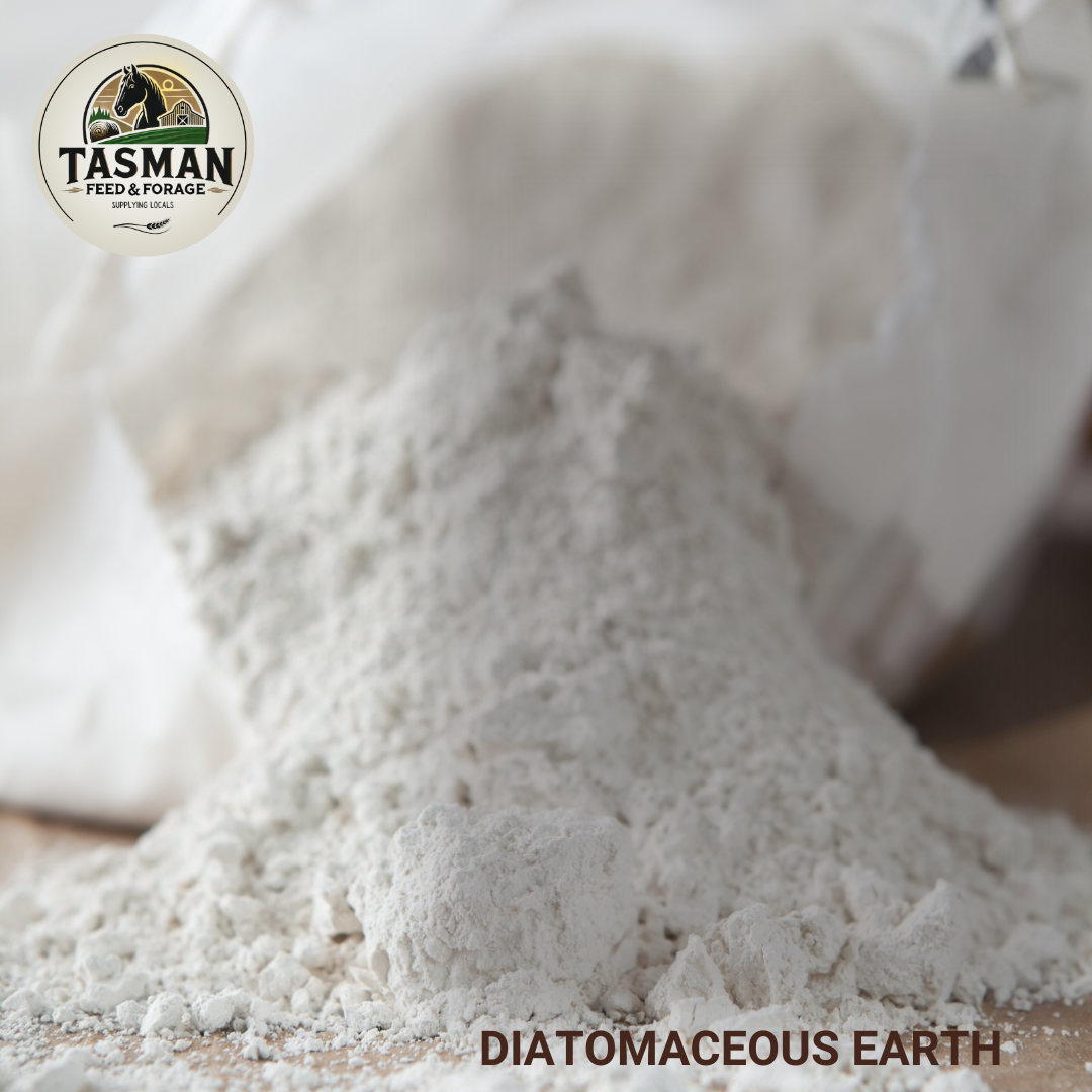 Diatomaceous Earth