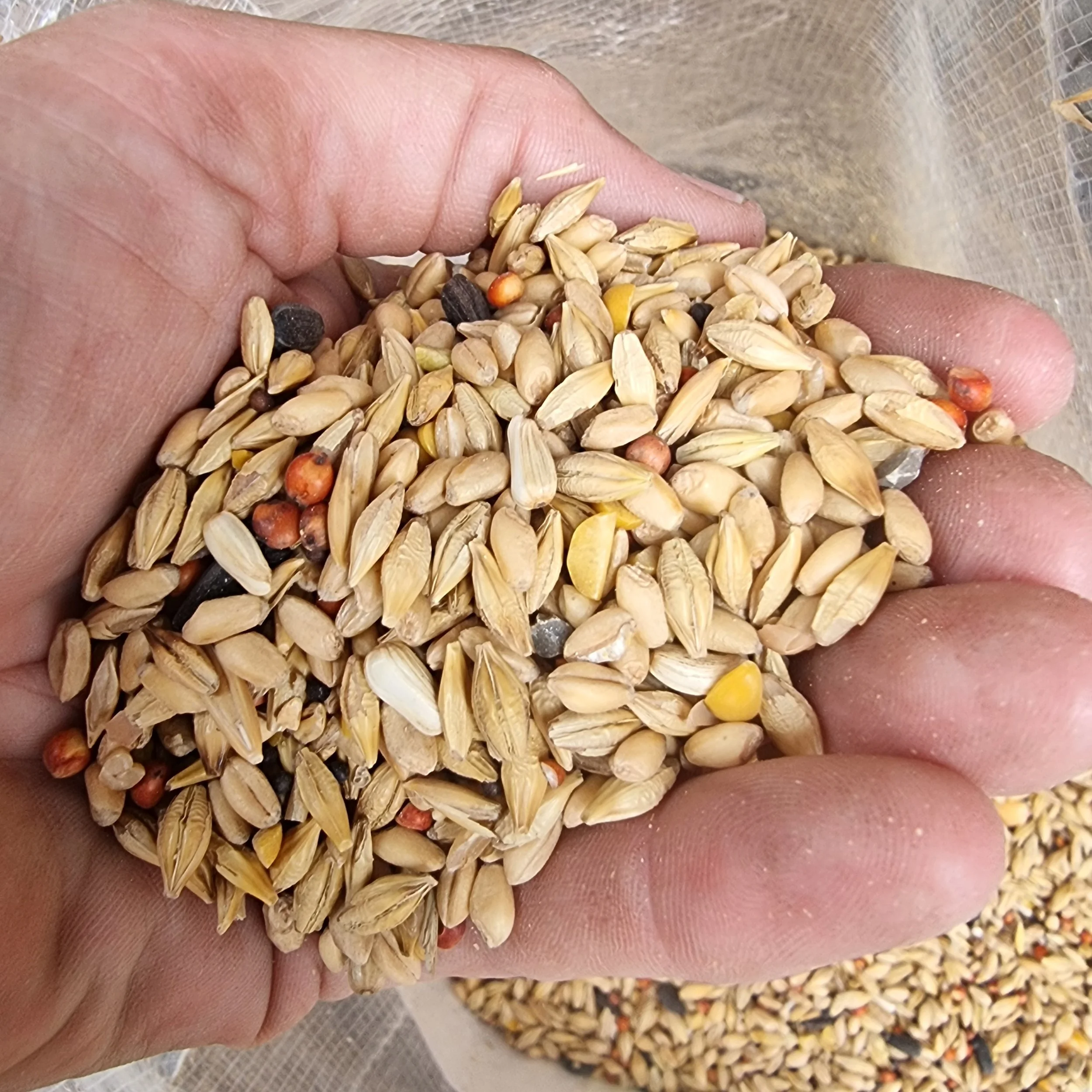 Seedhouse Wild Bird Mix Content