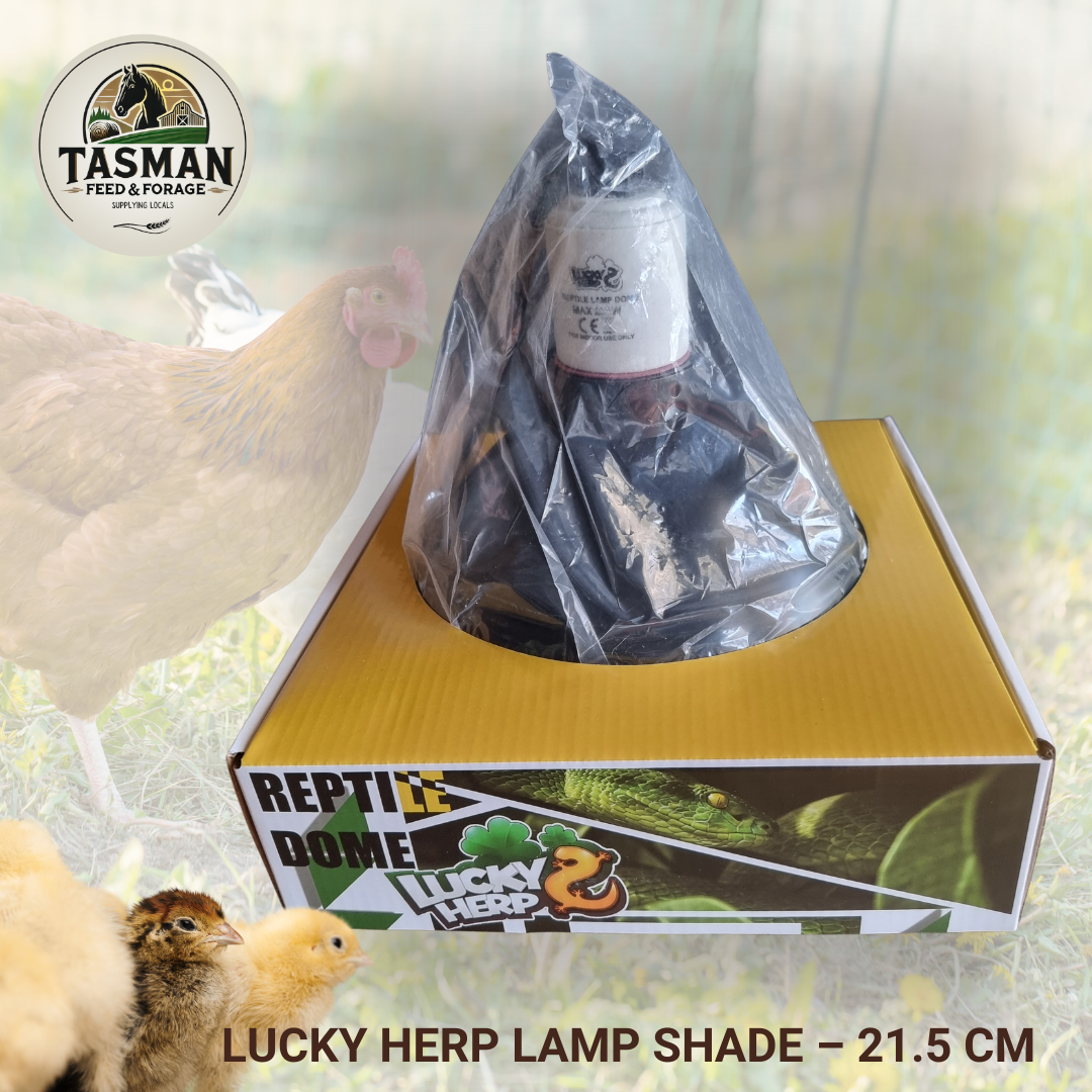 Lucky Herp Lamp Shade – 21.5 cm