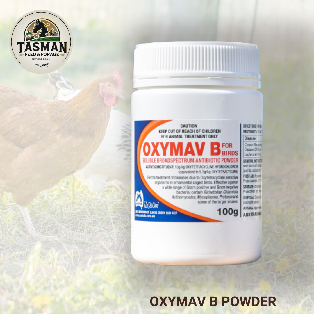 Oxymav B Powder