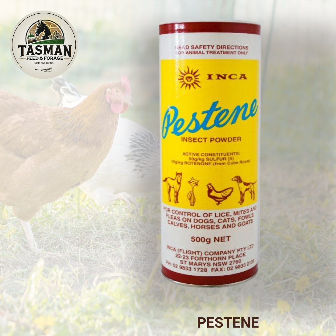 Inca Pestene