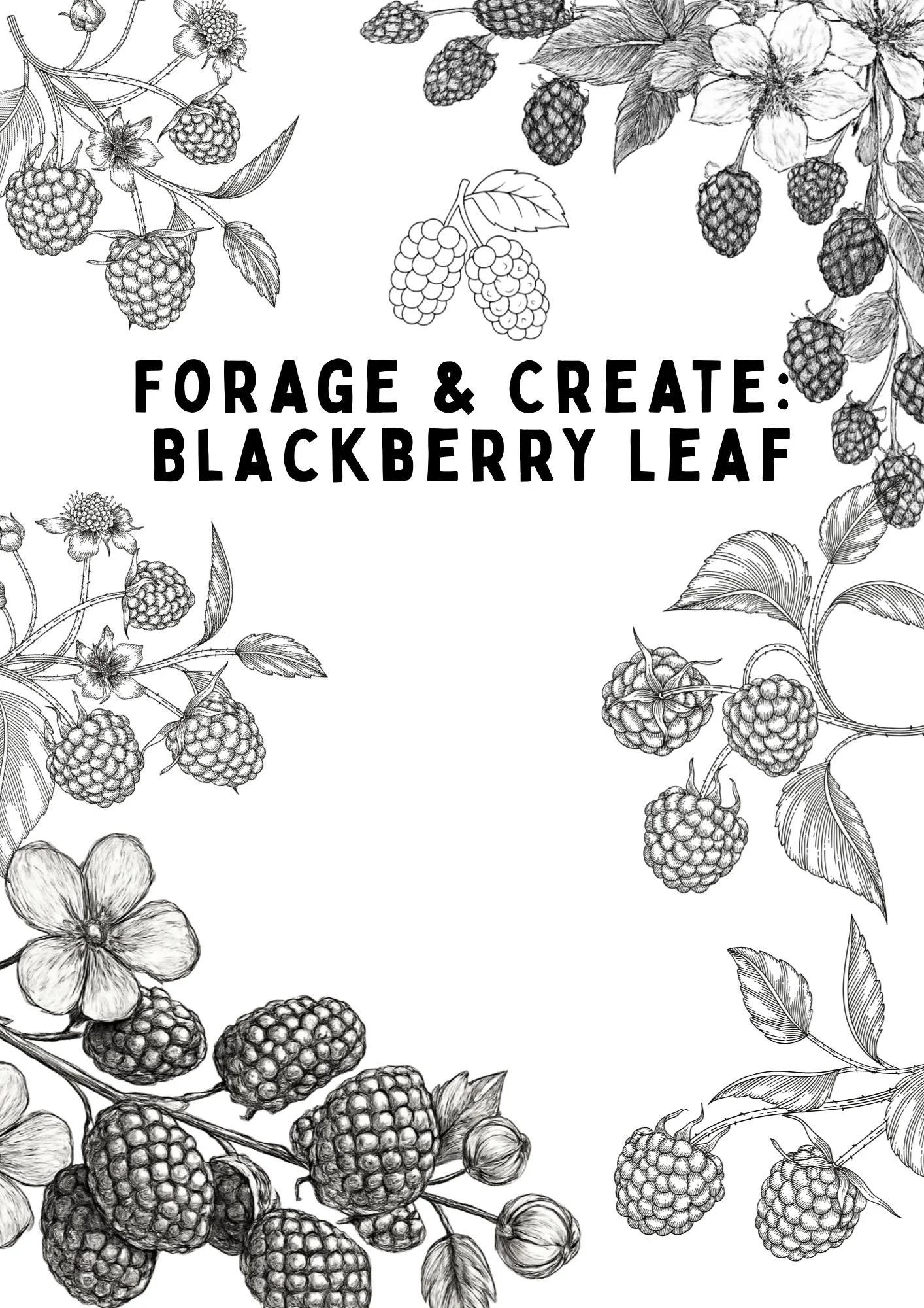 Black and white illustration of blackberry plants with leaves, flowers, and berries, surrounding the text 'Forage & Create: Blackberry Leaf' in the center.