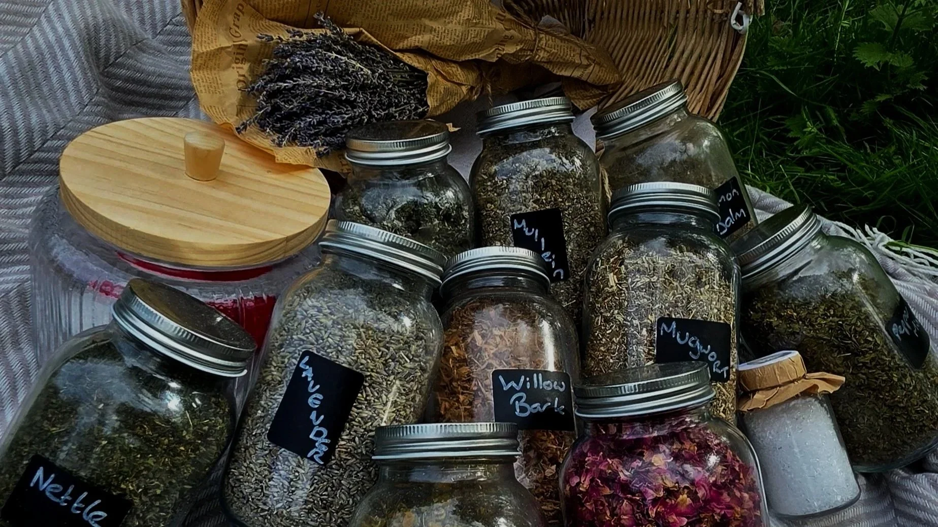 foraging group, herbal workshop, foraging lesson, tea blending