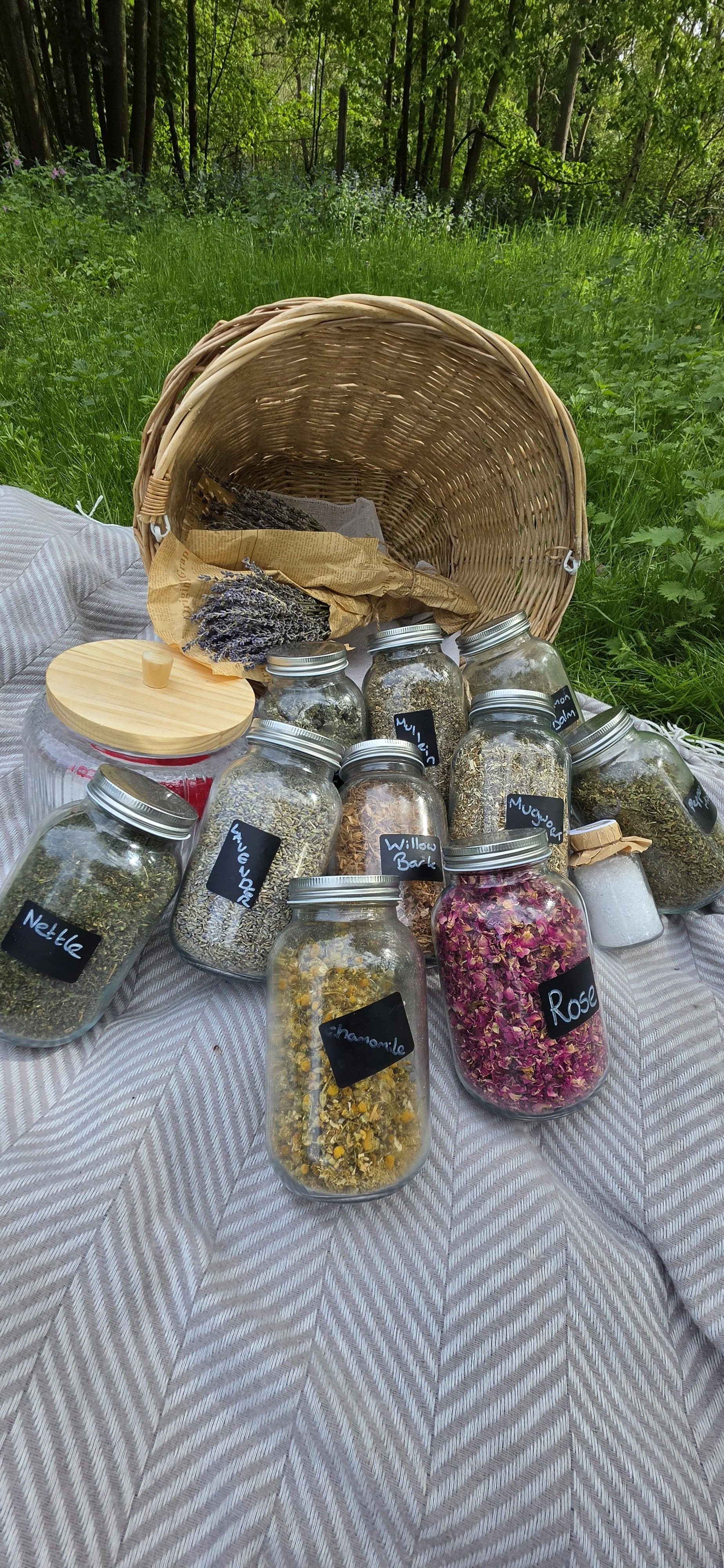 tea blending workshop, apothecary, herbal tea, foraged tea, natural remedies, tea blending suffolk, tea blending beccles