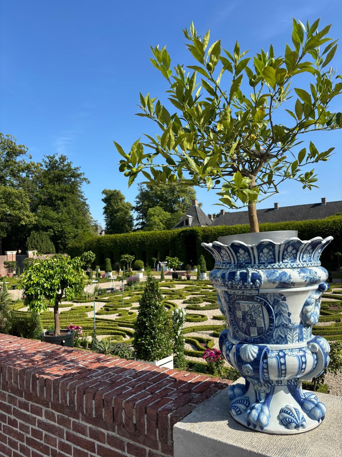 WhatsApp Image 2025-06-24 at 15.35.14.jpeg