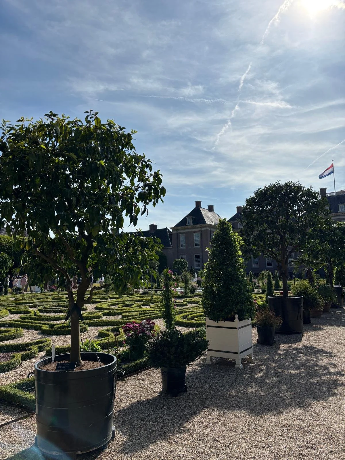 WhatsApp Image 2025-06-24 at 15.35.48.jpeg