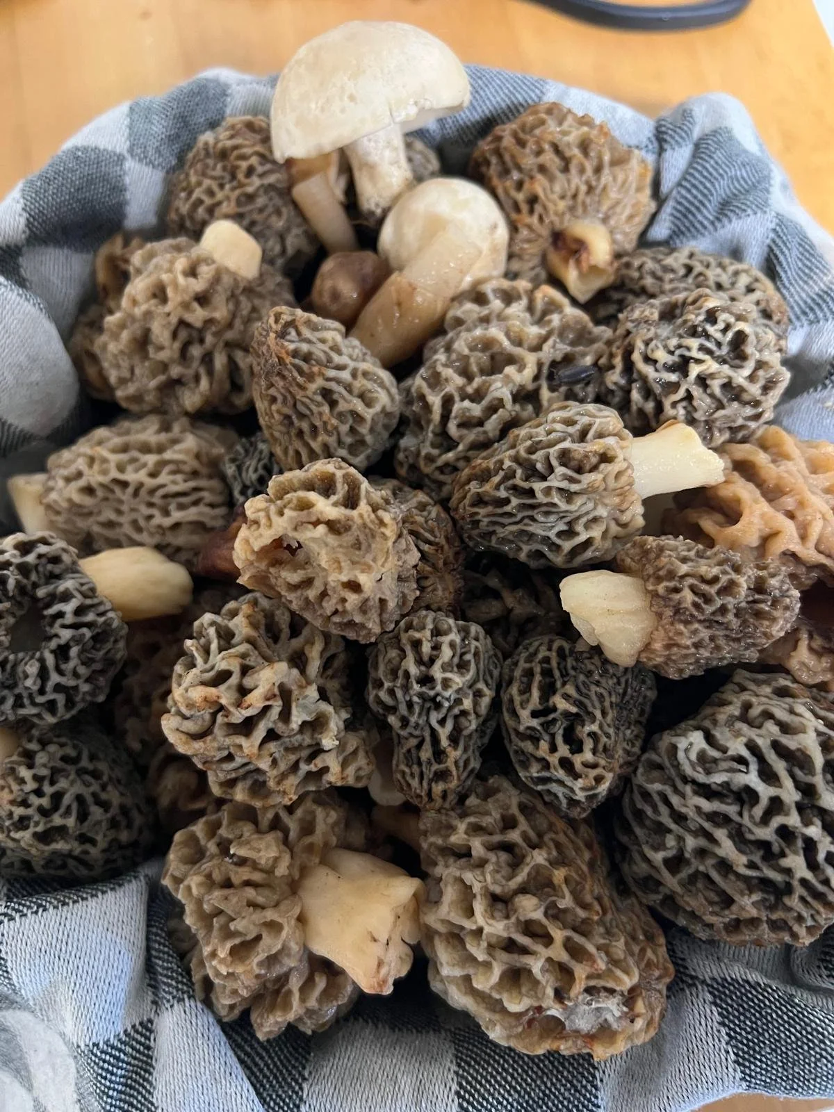 WhatsApp Image 2025-12-01 at 11.38.50.jpeg