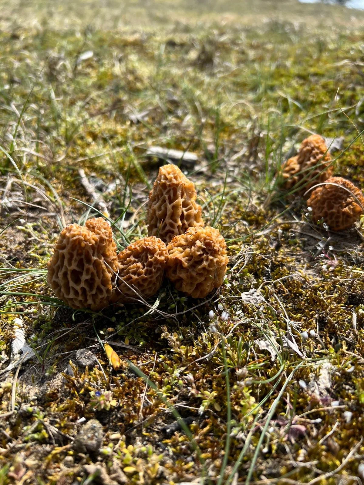 WhatsApp Image 2025-12-01 at 11.38.50 (1) (1).jpeg