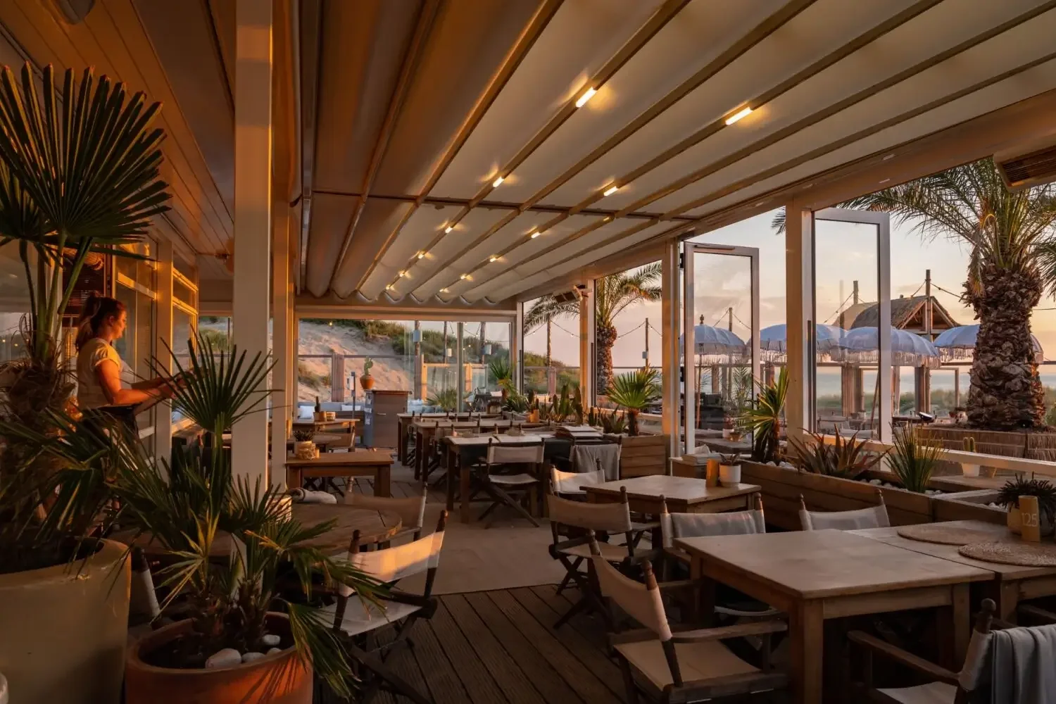 Truffeljacht &amp; Morieljes in Noordwijk