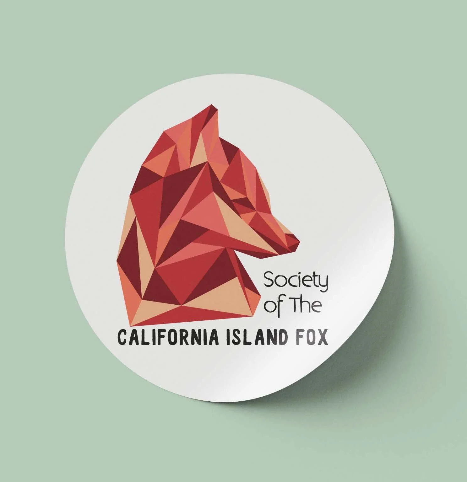 CaliIslandFox.jpg