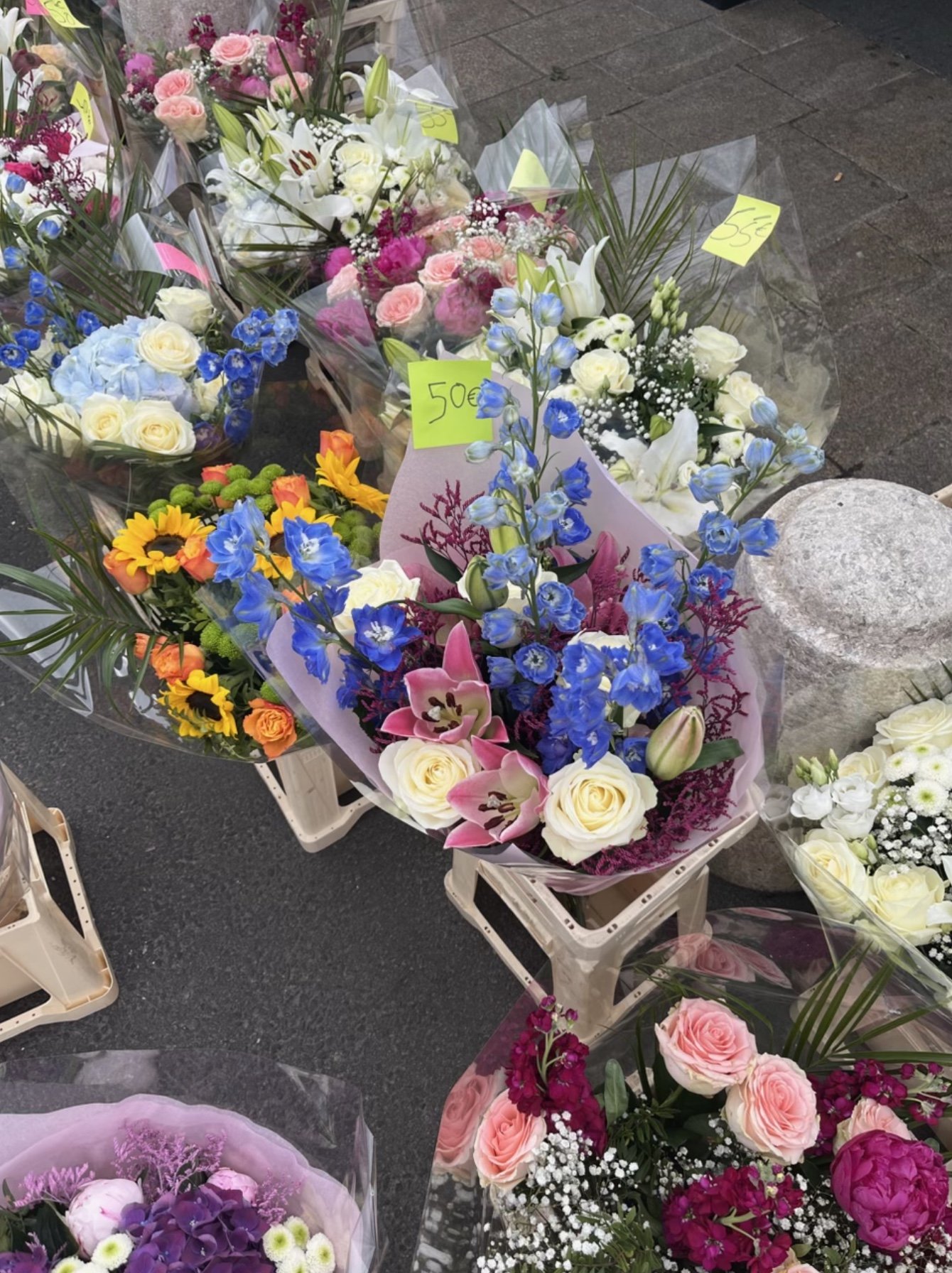 C21B54F1-40CB-48ED-A07A-A36F76F5CDD2.jpeg
