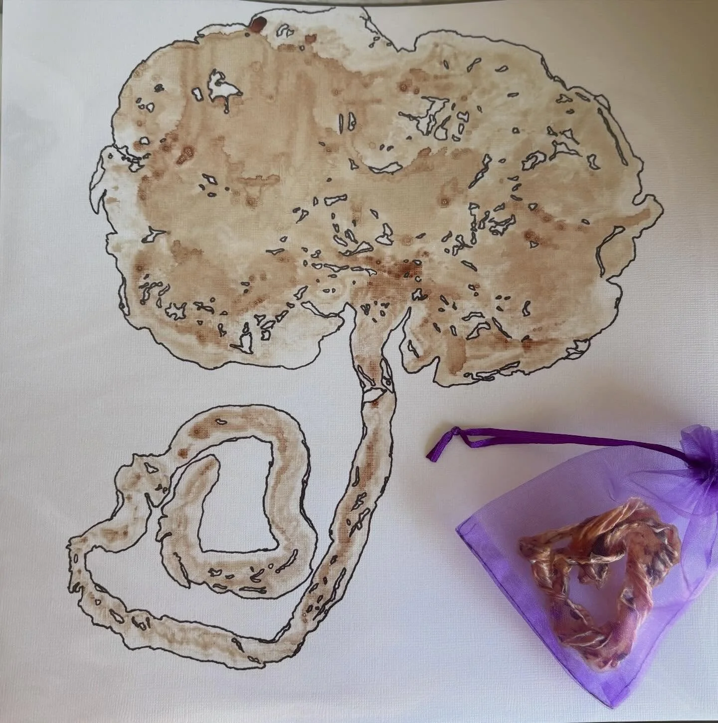 You didn&rsquo;t just grow a baby &mdash; you grew an entire organ to sustain that baby. ✨

The placenta is one of the most incredible things the body creates. I&rsquo;m so grateful mine was honored with a placenta print, cord keepsake, and encapsula