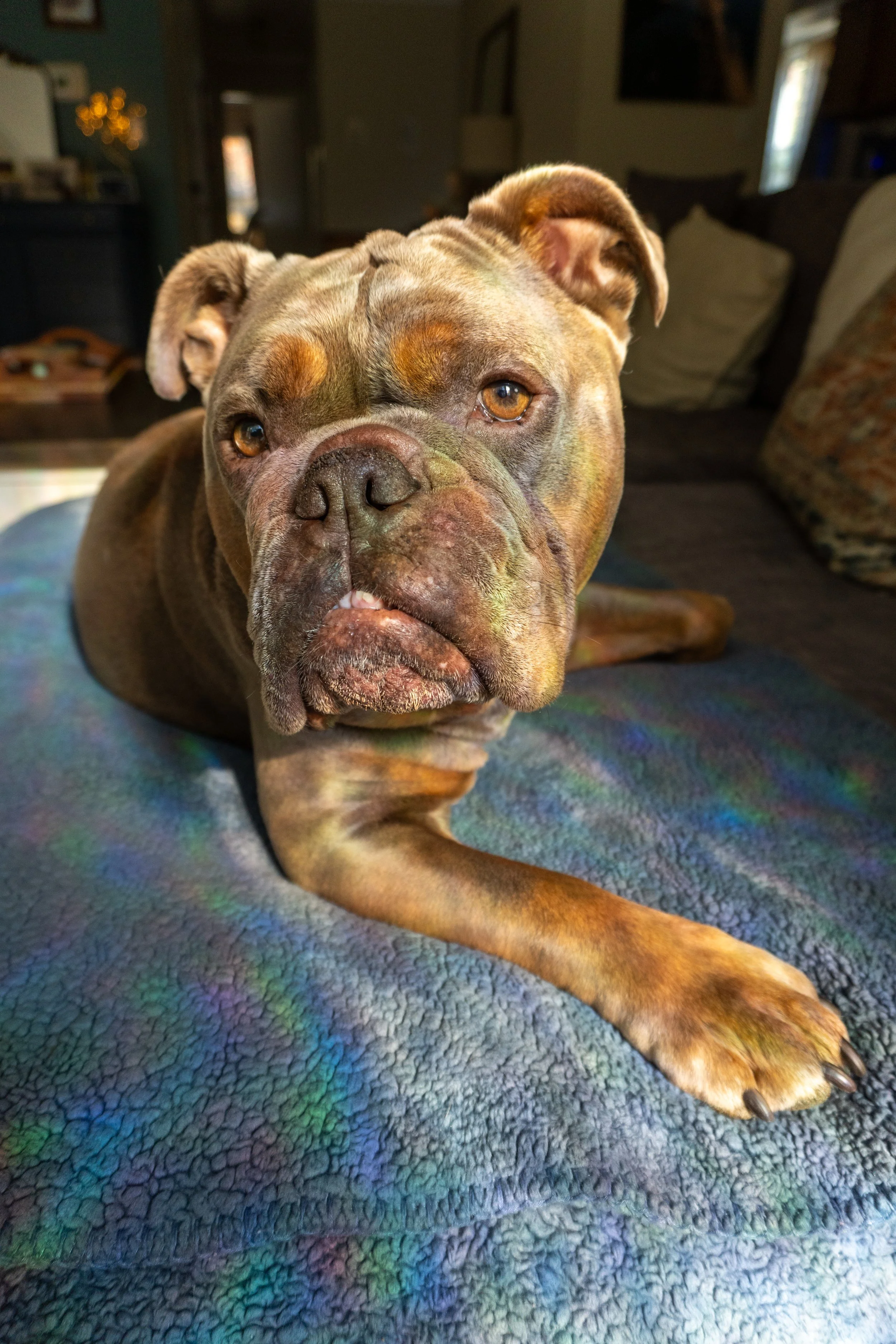 Brucey 11.07.24-14.jpg