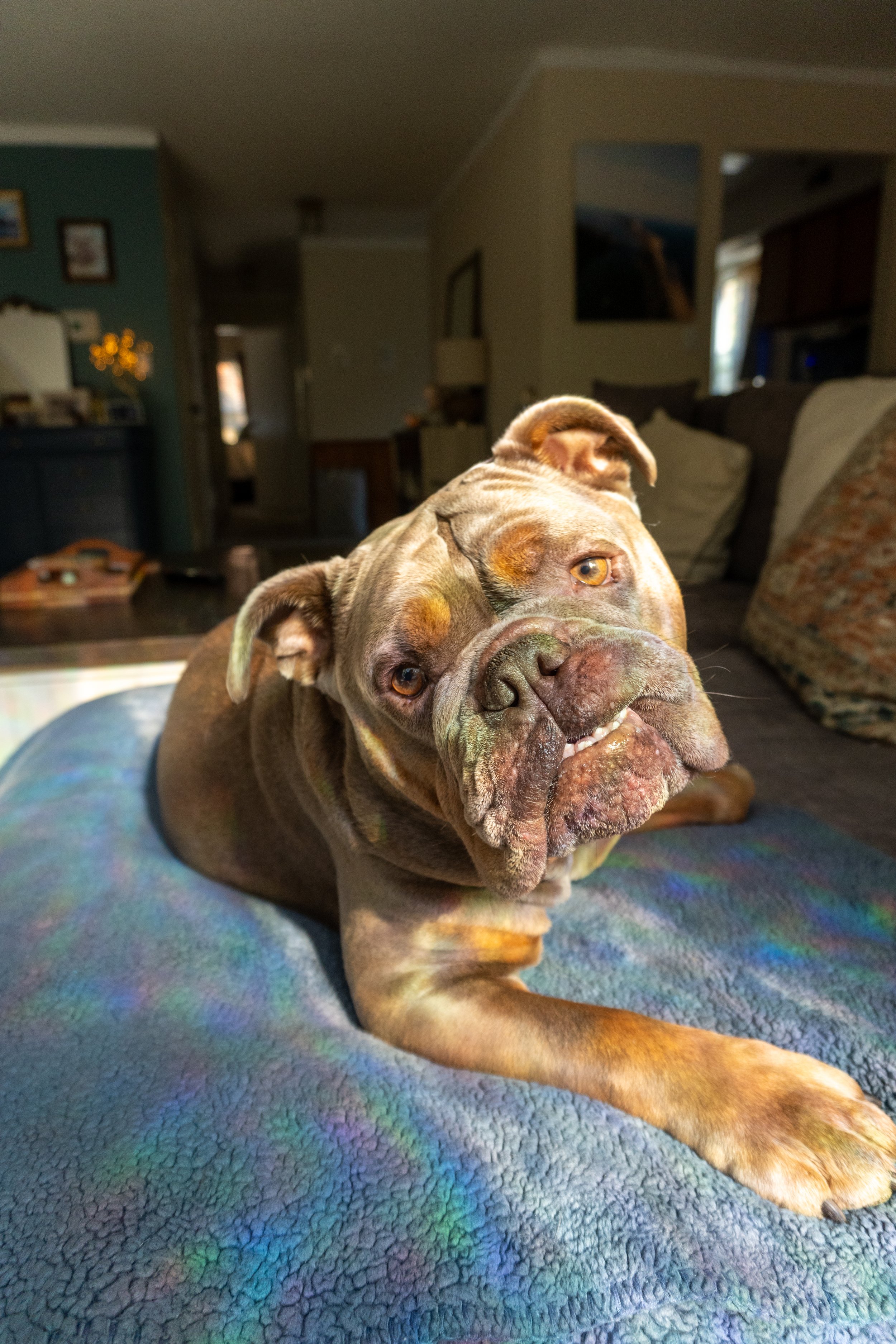 Brucey 11.07.24-13.jpg