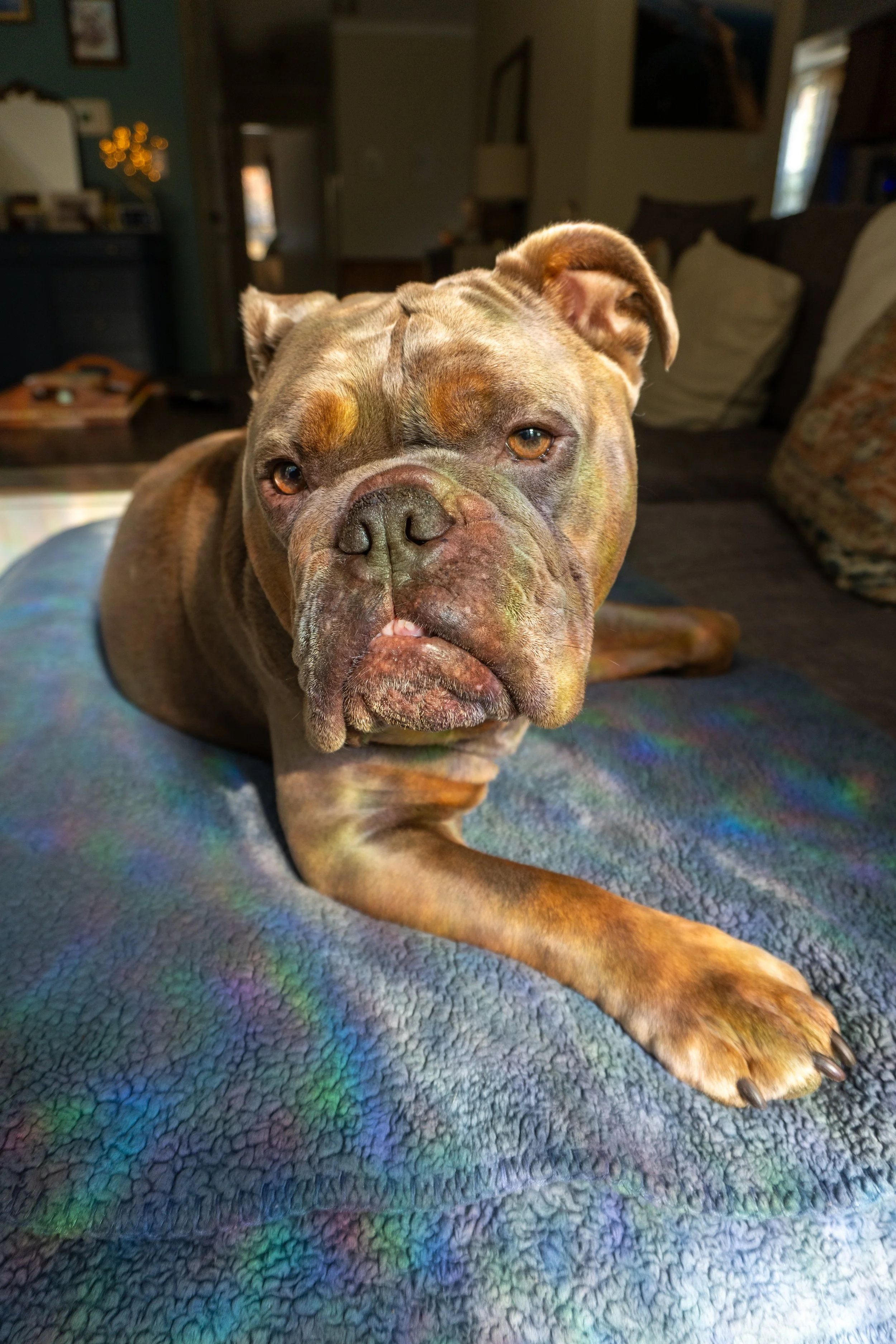 Brucey 11.07.24-12.jpg