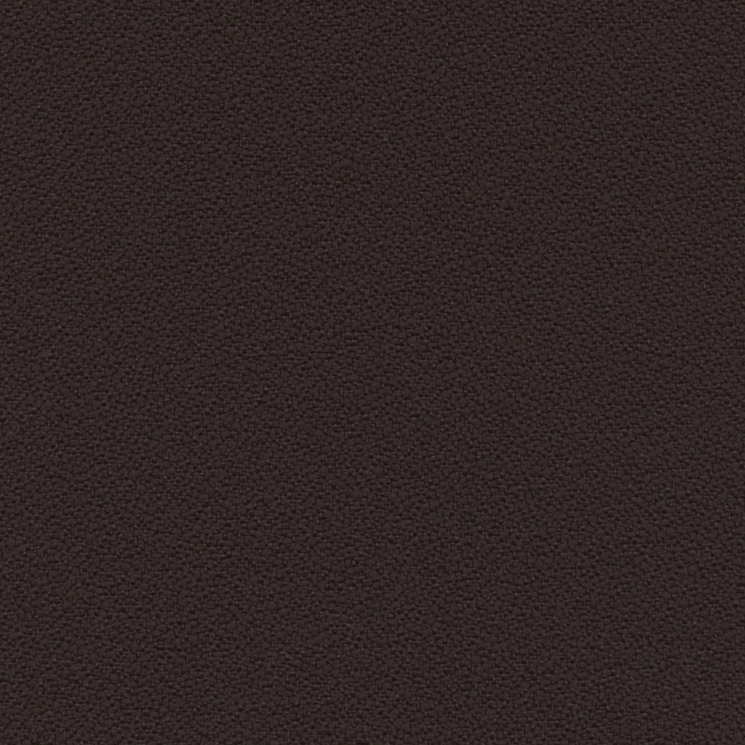 Coffee Bean