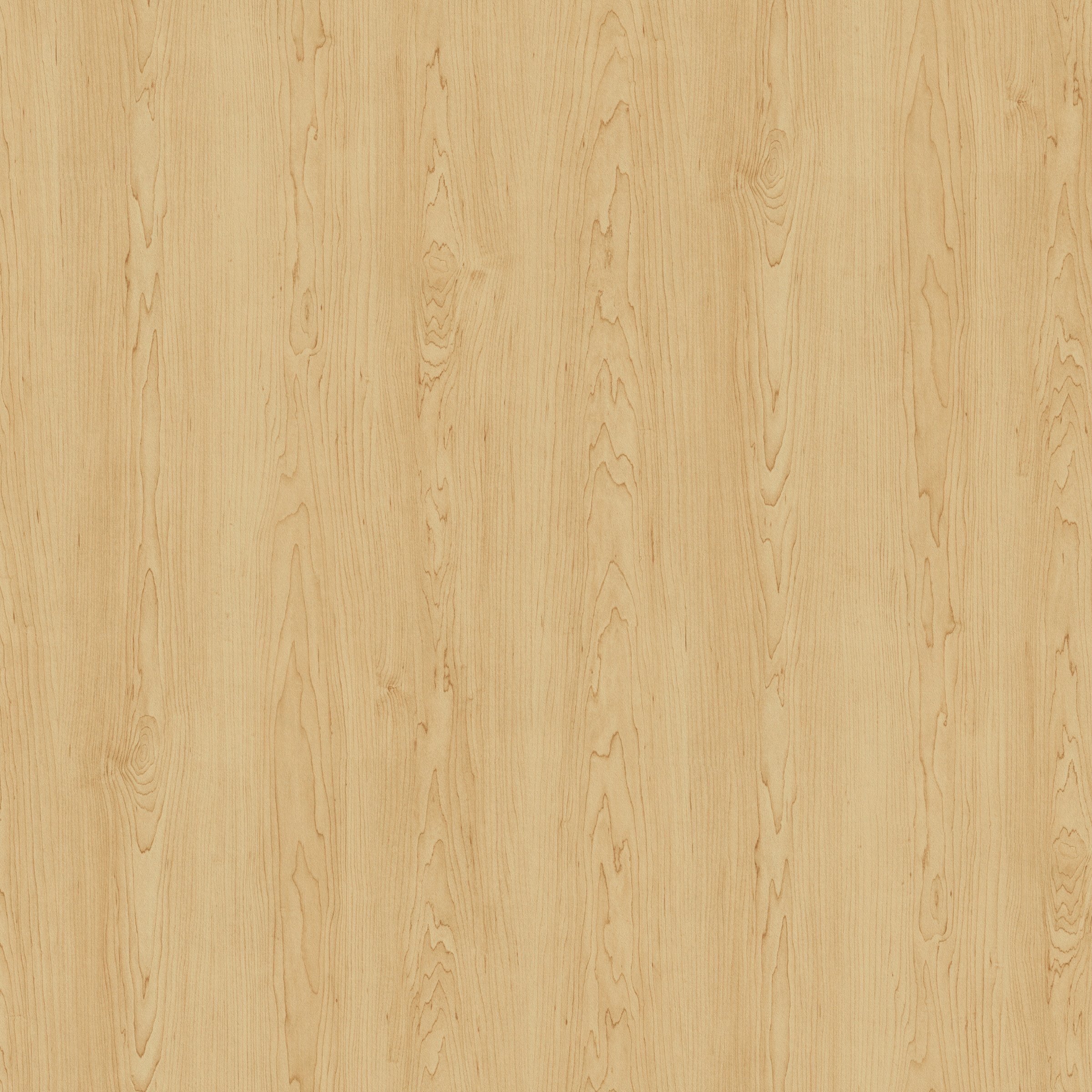 Hard Rock Maple (HM / HPHM)