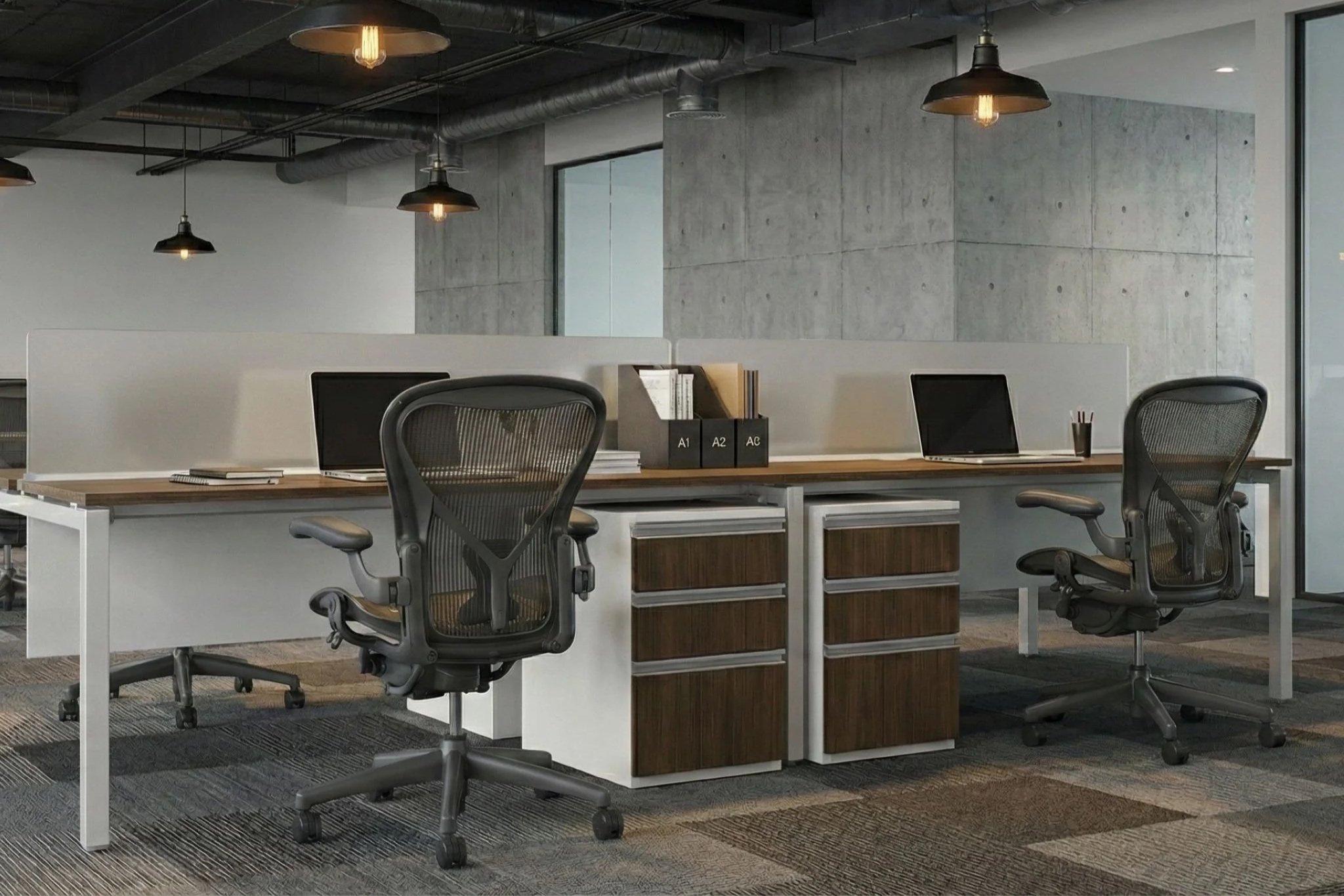 EDBIM2_003.jpg