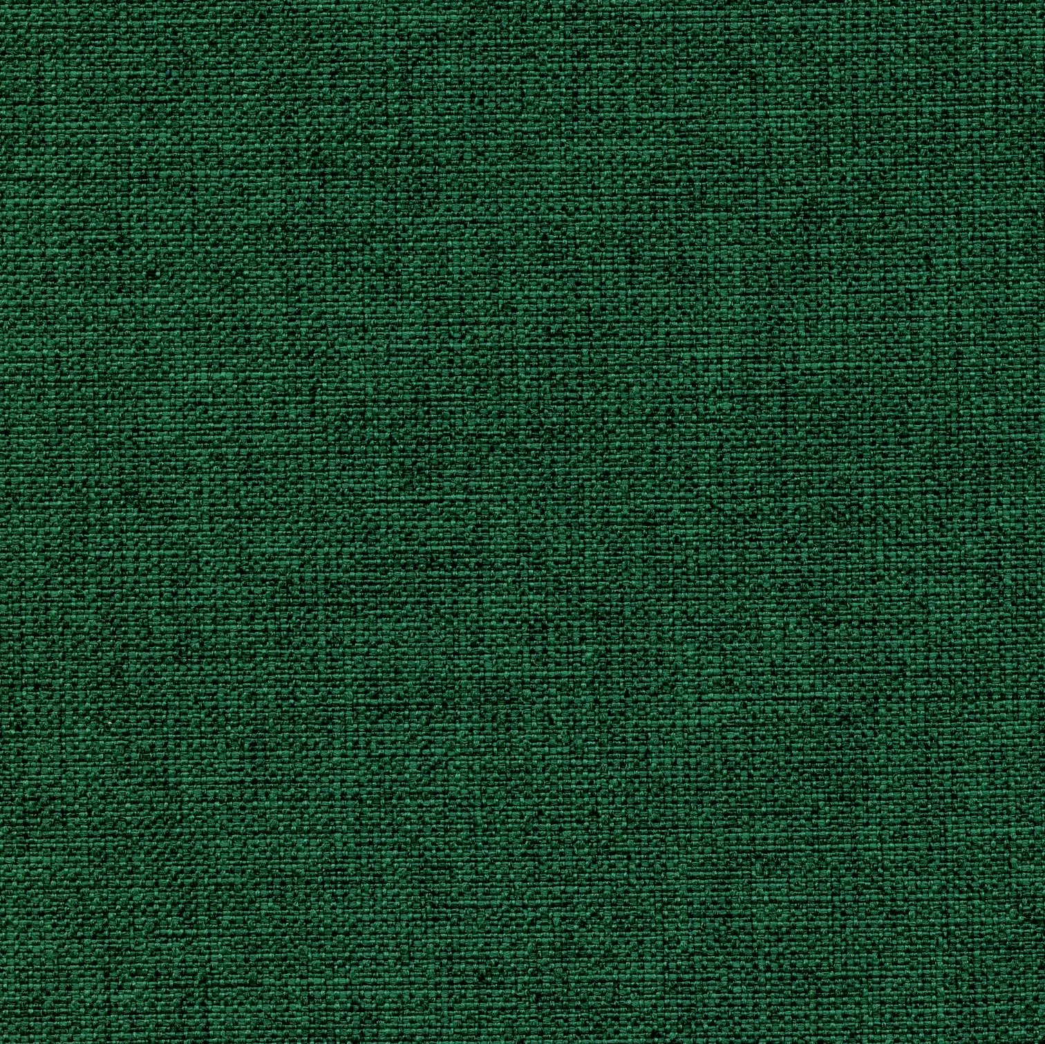 Spinach