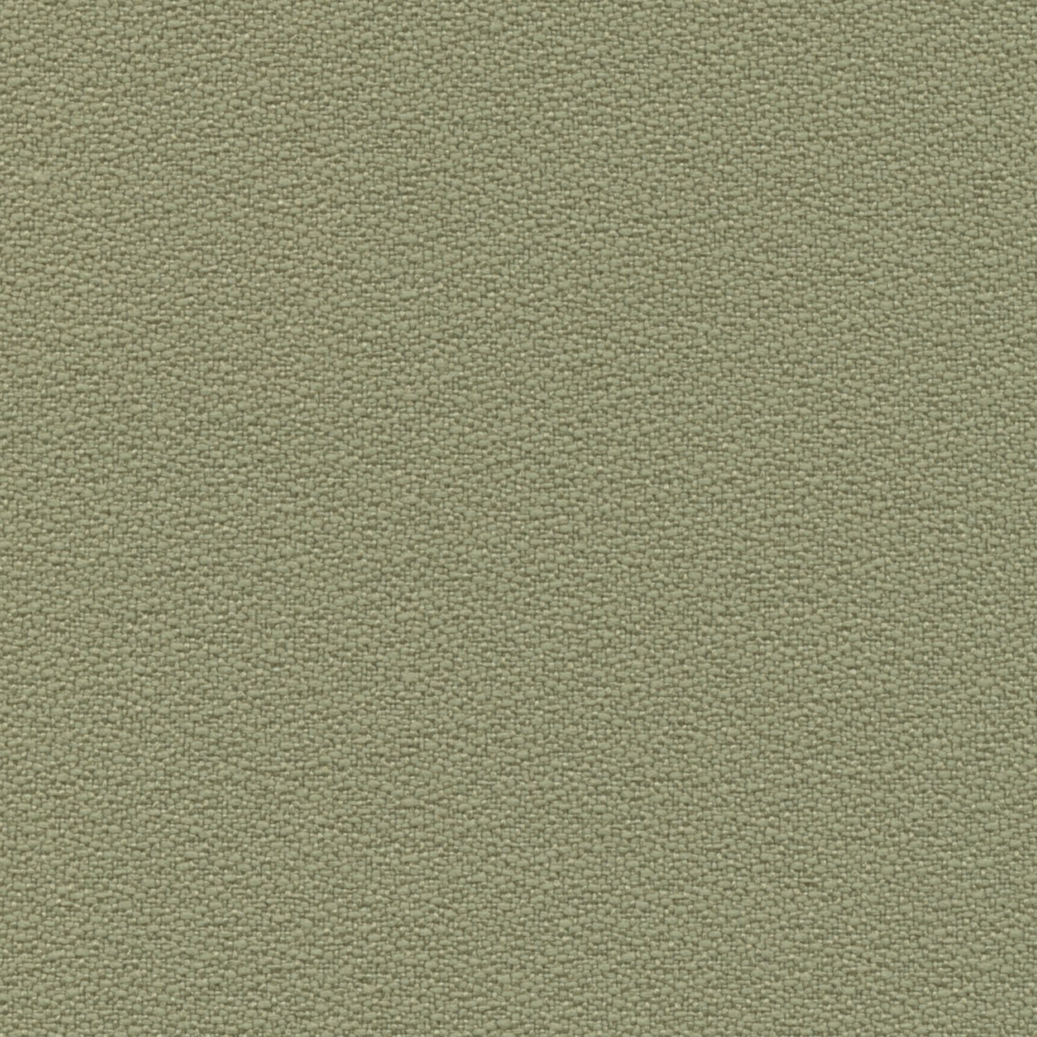 Eucalyptus