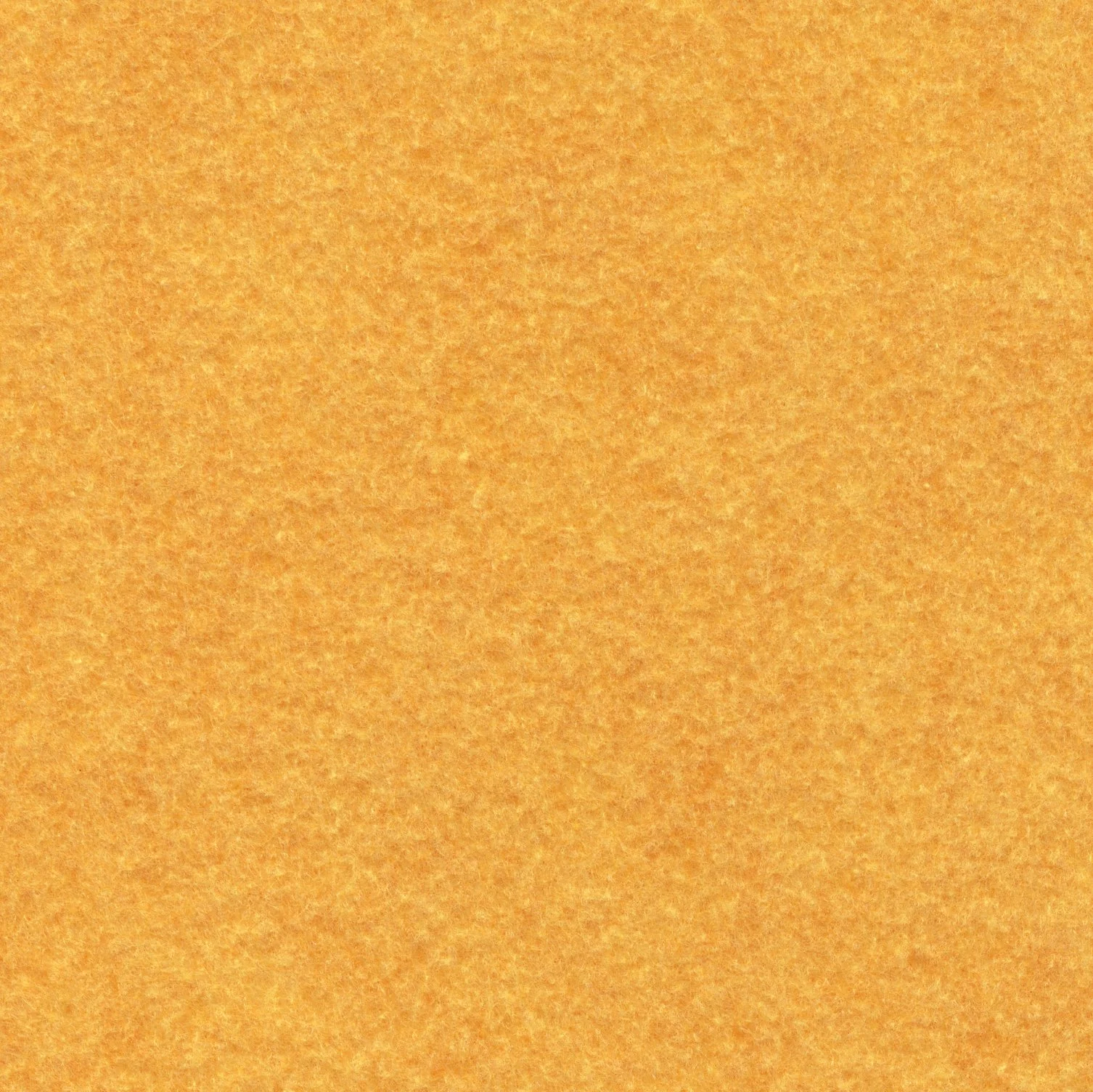 Maize