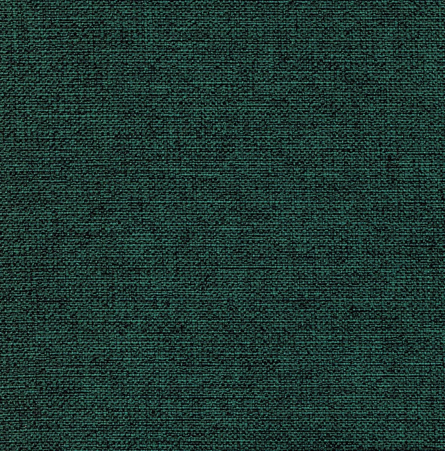Nettle