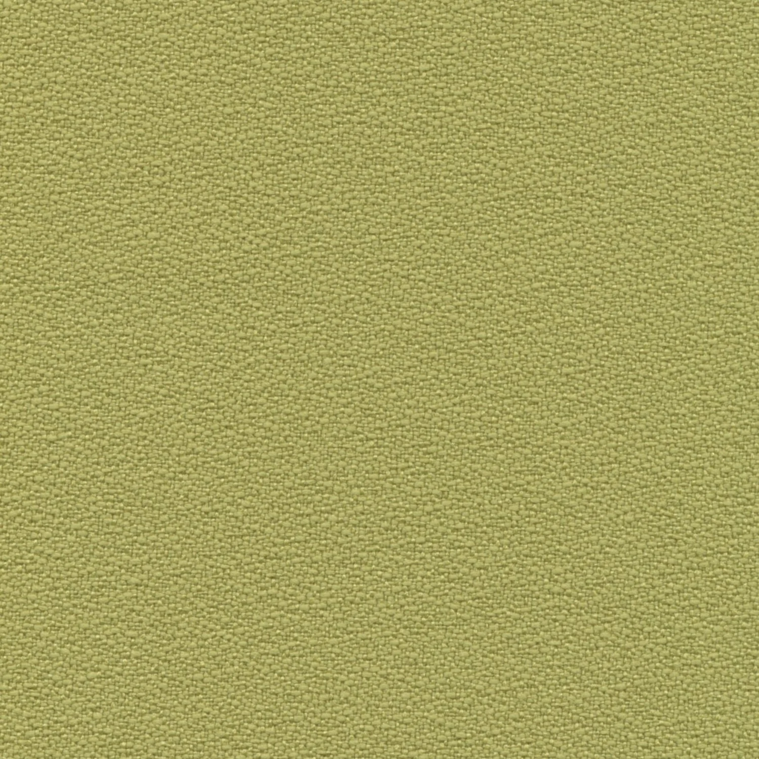 Green Olive