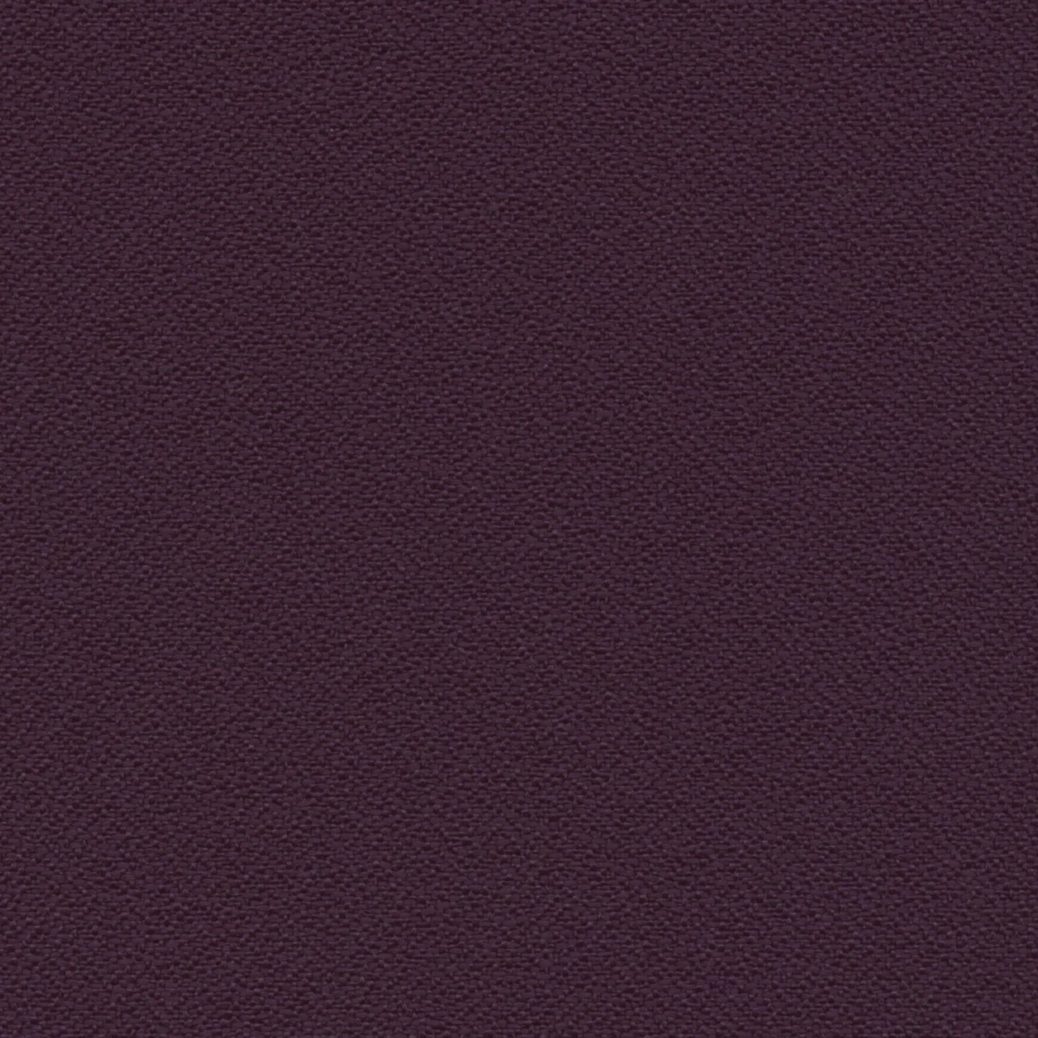 Aubergine