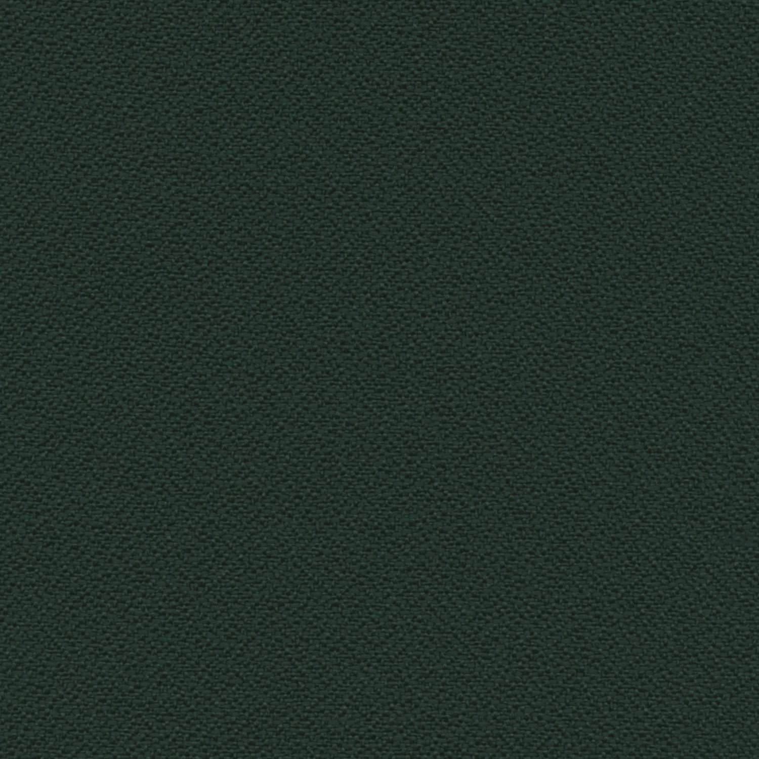 Pine Needle