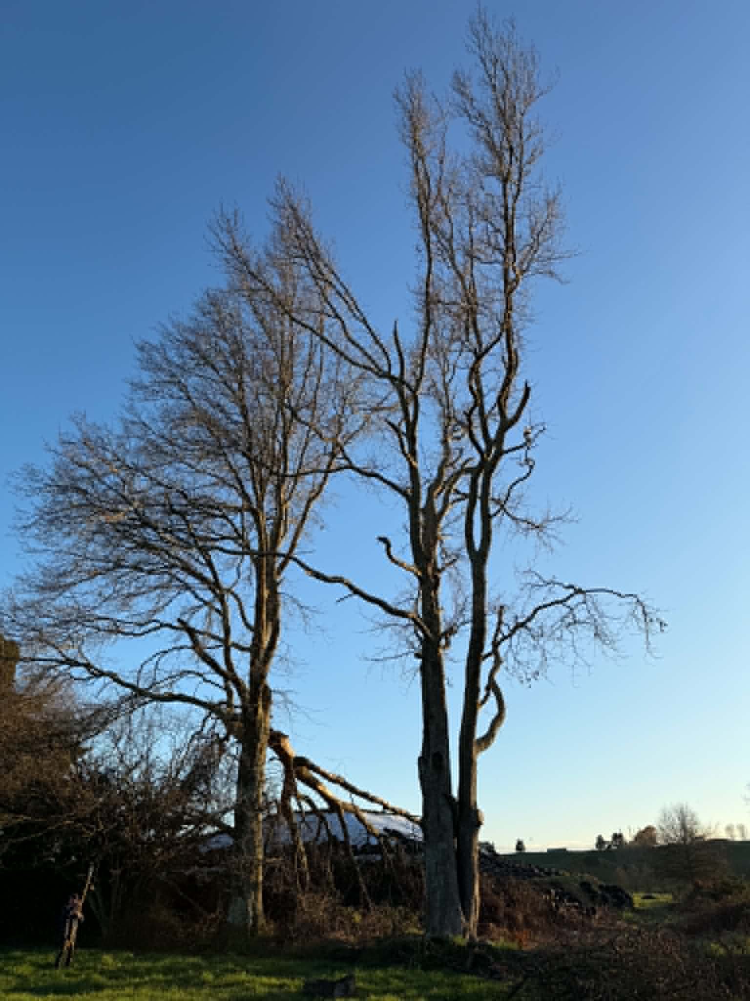 1. dcd64aa8-119e-4d60-9807-88af2a1610e3.jpg